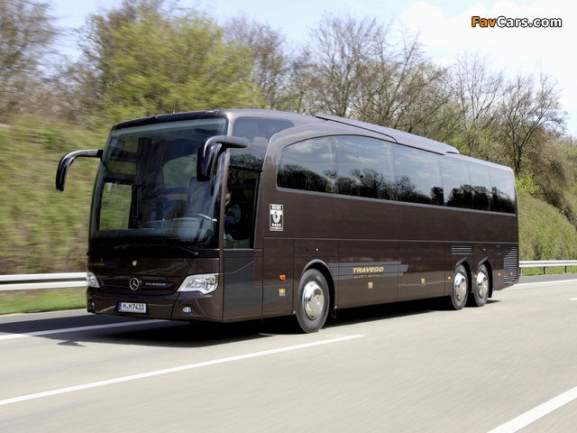 Pictures of Mercedes-Benz Travego M (O580) 2009 (640 x 480)