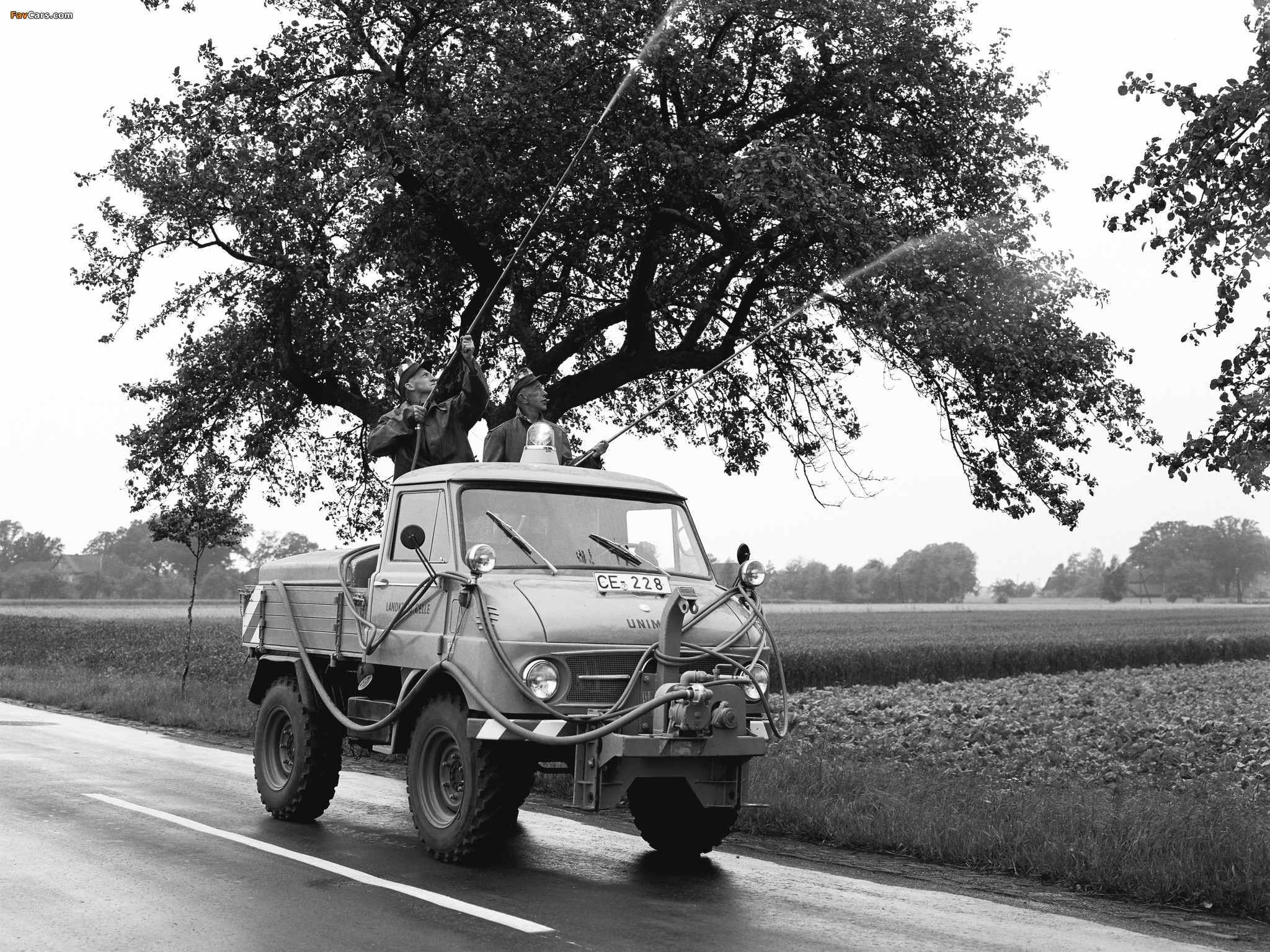 Images of Mercedes-Benz Unimog U25 (401) 1953–55 (2048 x 1536)