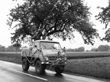Images of Mercedes-Benz Unimog U25 (401) 1953–55