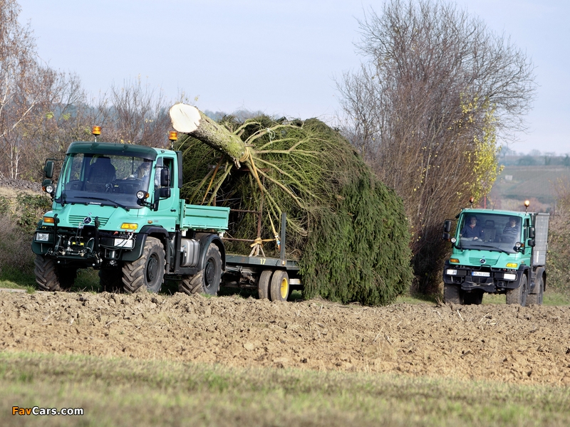 Mercedes-Benz Unimog U400 2000–13 pictures (800 x 600)