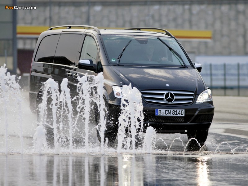 Mercedes-Benz Viano 4MATIC (W639) 2010 pictures (800 x 600)