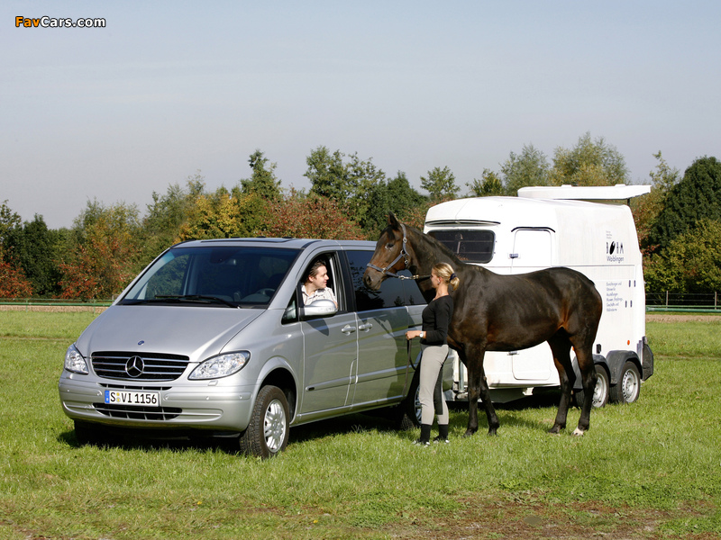 Photos of Mercedes-Benz Viano 4MATIC (W639) 2003–10 (800 x 600)