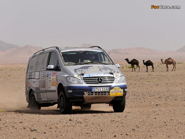 Mercedes-Benz Viano 4MATIC Rally Car (W639) 2003–10 wallpapers (640 x 480)