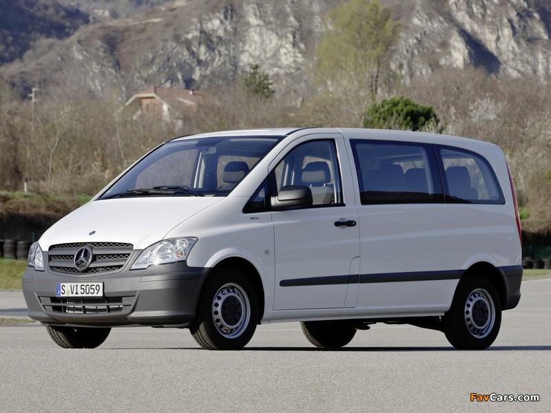 Mercedes-Benz Vito Crew (W639) 2011 photos (800 x 600)