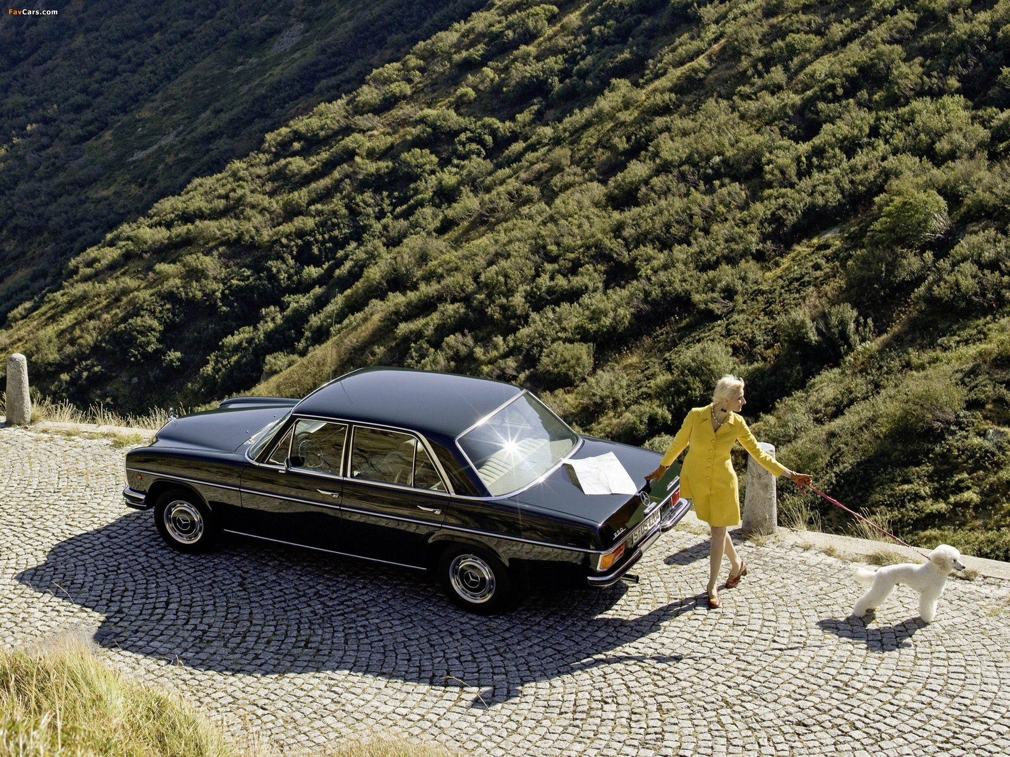 Mercedes-Benz 250 (W114/115) 1969–76 images (2048 x 1536)