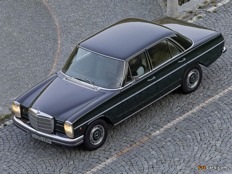 Mercedes-Benz 250 (W114/115) 1969–76 pictures (800 x 600)