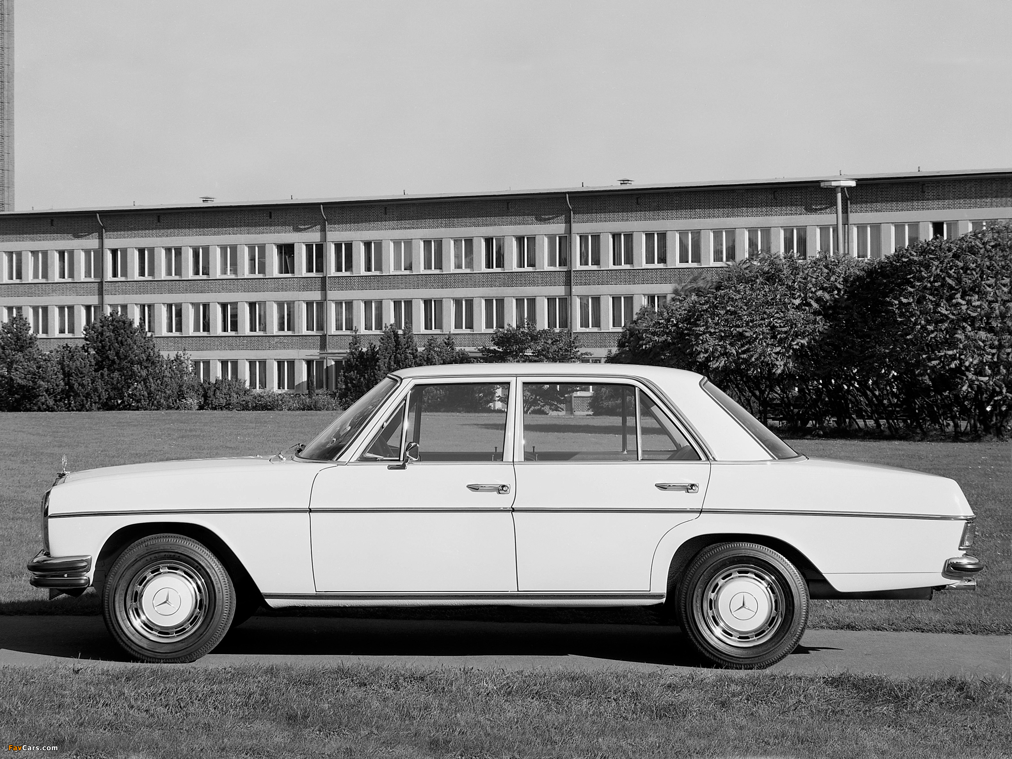 Mercedes-Benz E-Klasse (W114/115) 1967–76 pictures (2048 x 1536)
