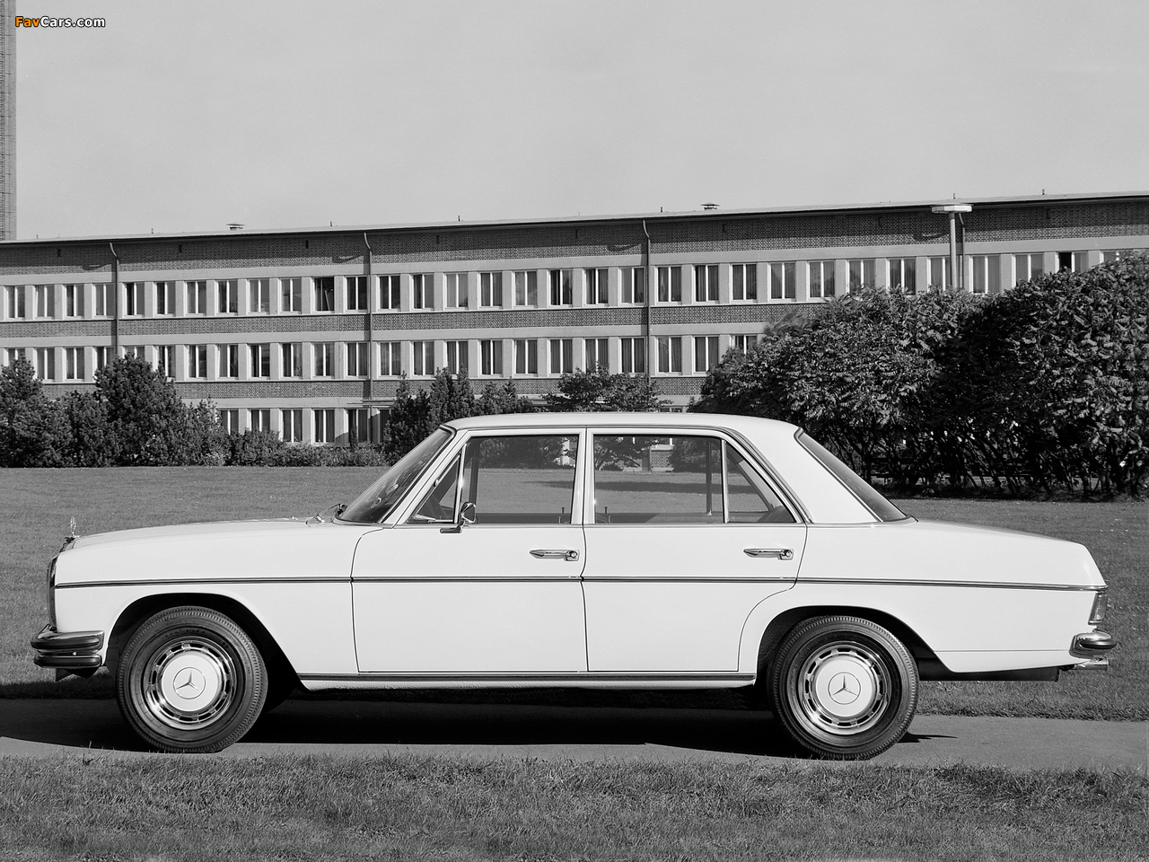 Mercedes-Benz E-Klasse (W114/115) 1967–76 pictures (1280 x 960)