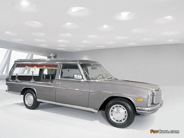 Pilato Mercedes-Benz 200 D Hearse (W115) wallpapers (640 x 480)