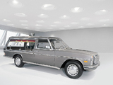 Pilato Mercedes-Benz 200 D Hearse (W115) wallpapers
