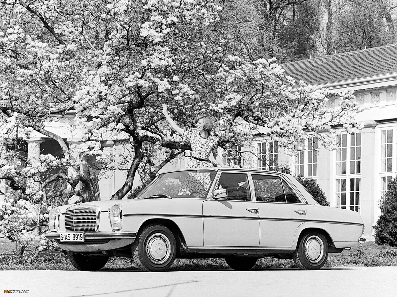 Photos of Mercedes-Benz 230.4 (W115) 1972–76 (1600 x 1200)