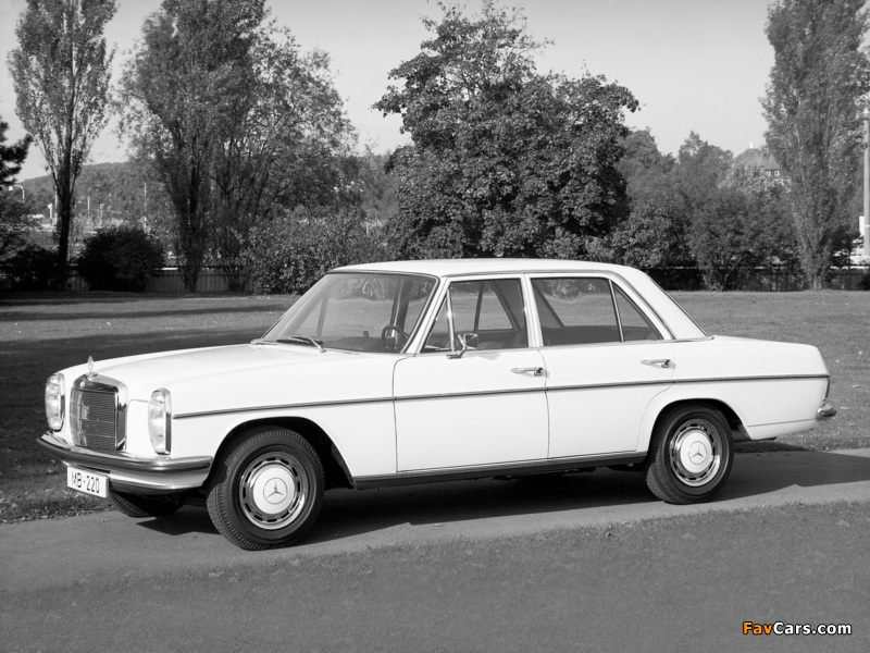 Pictures of Mercedes-Benz E-Klasse (W114/115) 1967–76 (800 x 600)