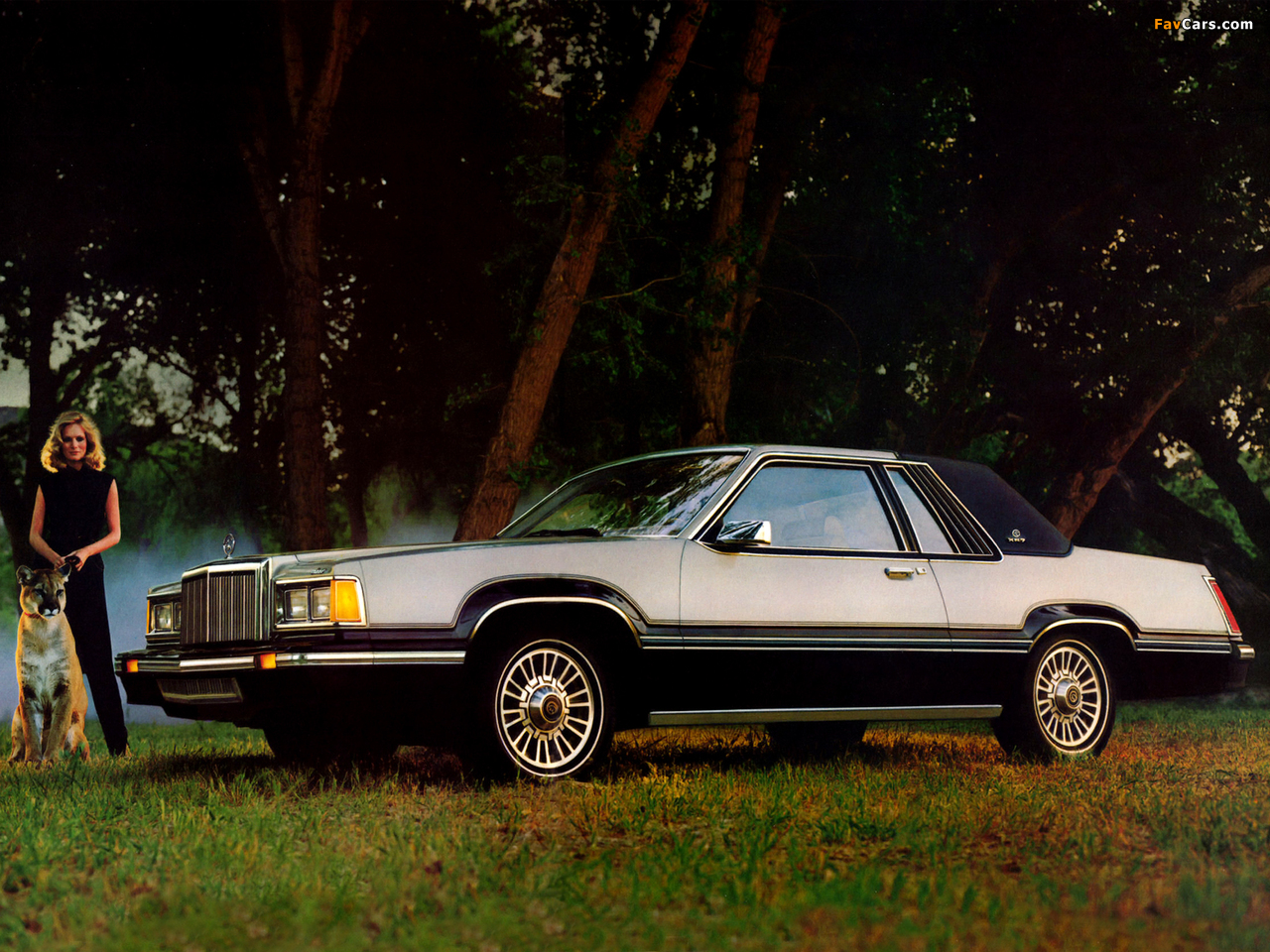 Mercury Cougar XR-7 Decor Group 1980 photos (1280 x 960)