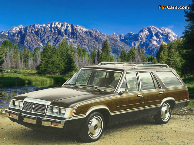 Pictures of Mercury Marquis Brougham Station Wagon 1984 (640 x 480)