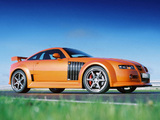 MG XPower SV-R 2004–05 images