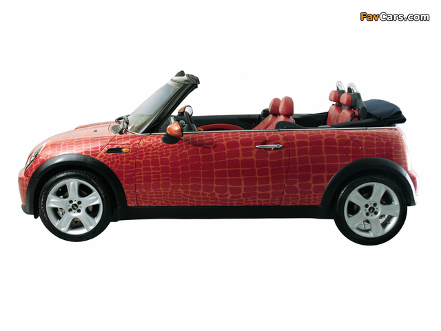 Mini Cooper Cabrio by Gianfranco Ferre (R52) 2004 photos (640 x 480)