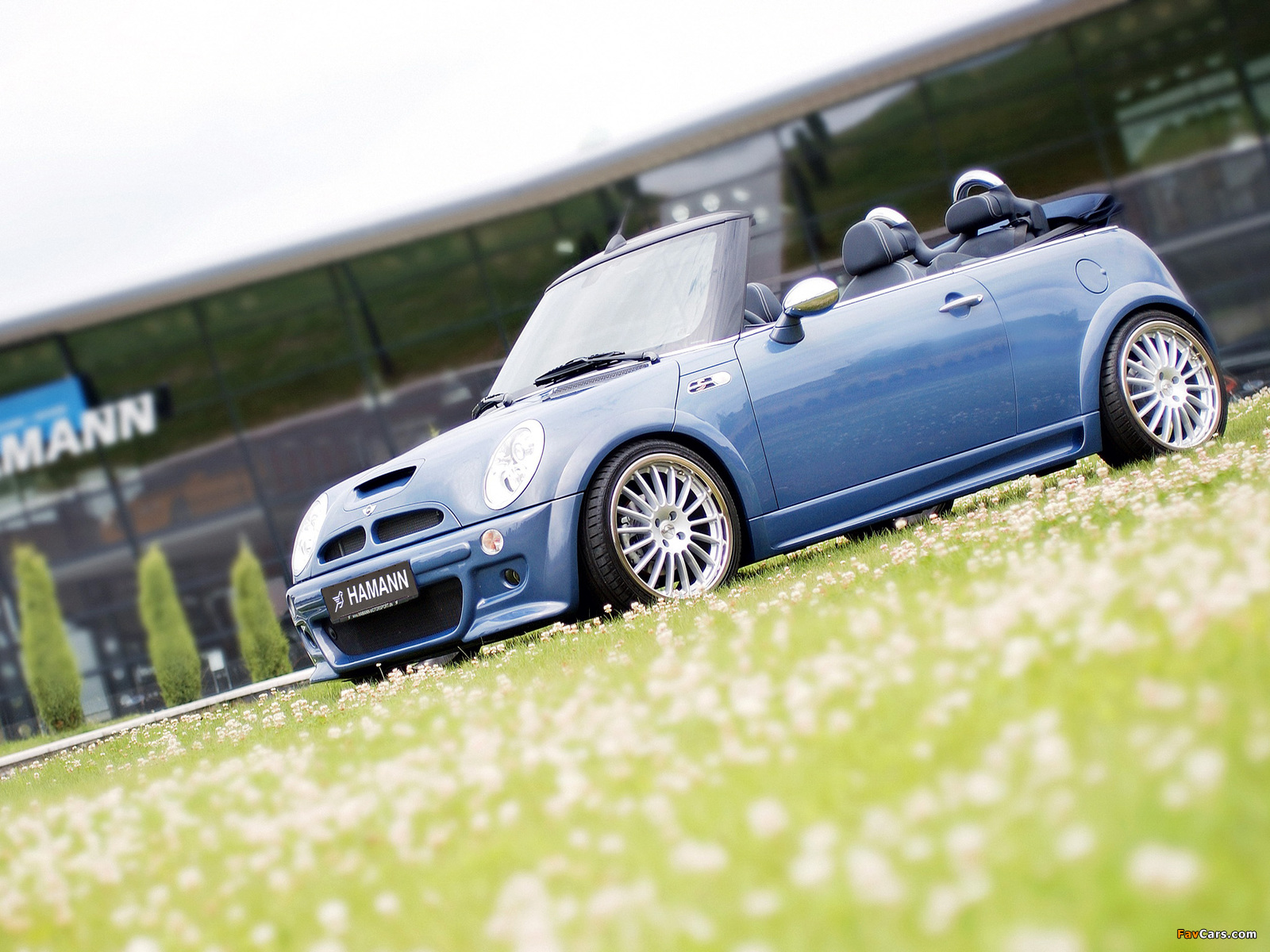 Hamann Mini Cooper S Cabrio (R52) photos (1600 x 1200)