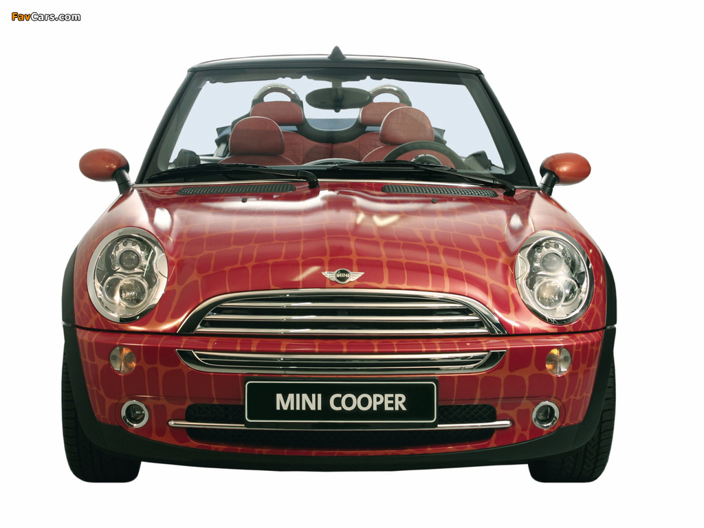 Mini Cooper Cabrio by Gianfranco Ferre (R52) 2004 wallpapers (1024 x 768)