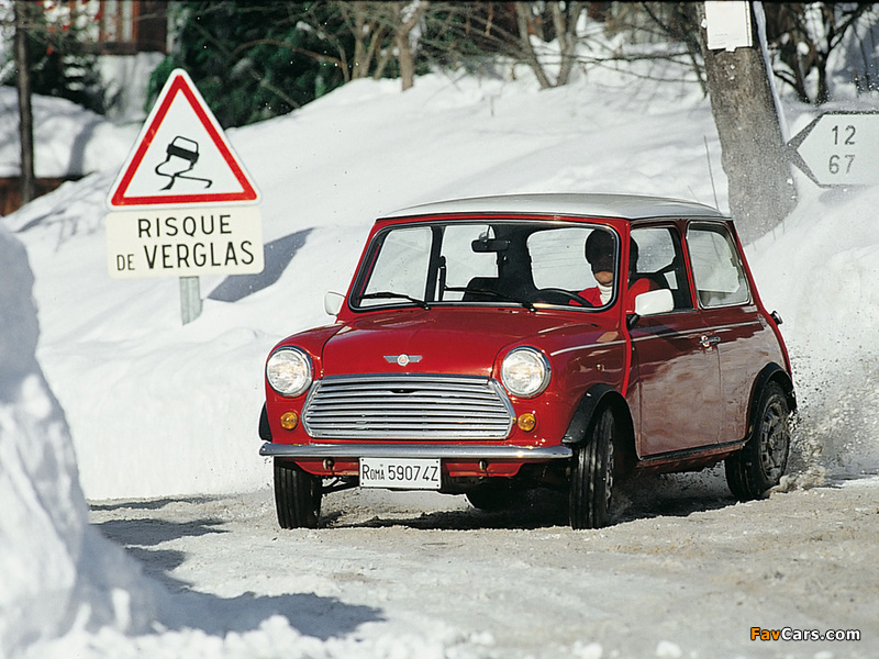 Rover Mini Cooper EU-spec (ADO20) 1990–2000 wallpapers (800 x 600)