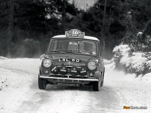 Pictures of Morris Mini Cooper S Rally (ADO15) 1964–68 (640 x 480)