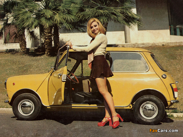 Pictures of Mini (ADO20) 1969–90 (640 x 480)
