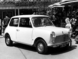 Pictures of Mini (ADO20) 1969–90