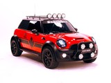 Pictures of Mini Cooper S by DSQUARED 2011