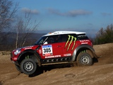 Images of Mini All4 Racing Prototype (R60) 2010
