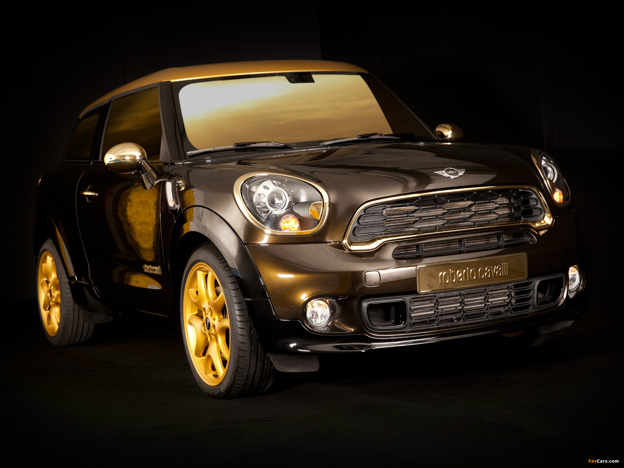MINI Cooper S Paceman by Roberto Cavalli (R61) 2013 pictures (2048 x 1536)