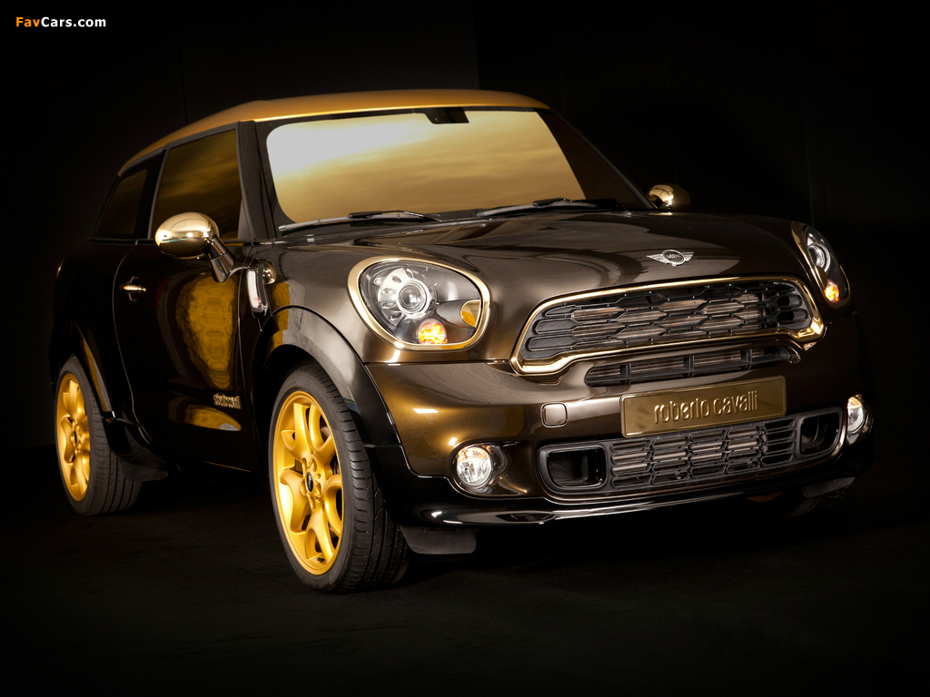 MINI Cooper S Paceman by Roberto Cavalli (R61) 2013 pictures (1024 x 768)