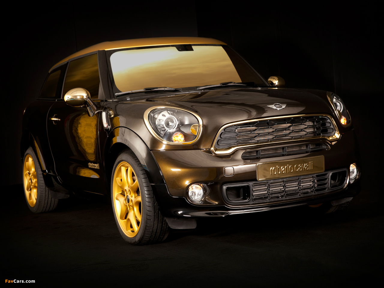 MINI Cooper S Paceman by Roberto Cavalli (R61) 2013 pictures (1280 x 960)