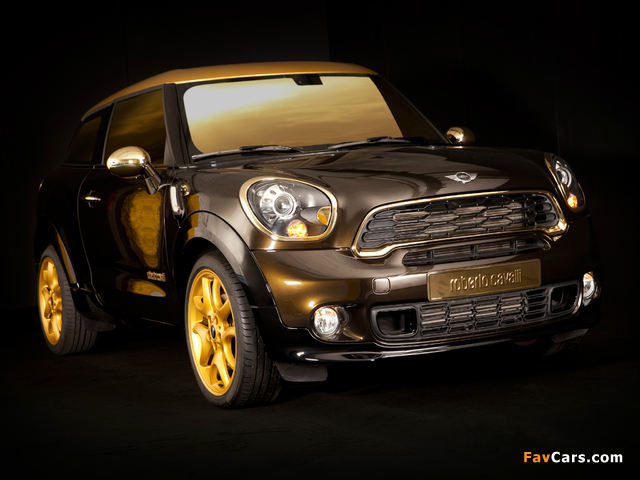 MINI Cooper S Paceman by Roberto Cavalli (R61) 2013 pictures (640 x 480)