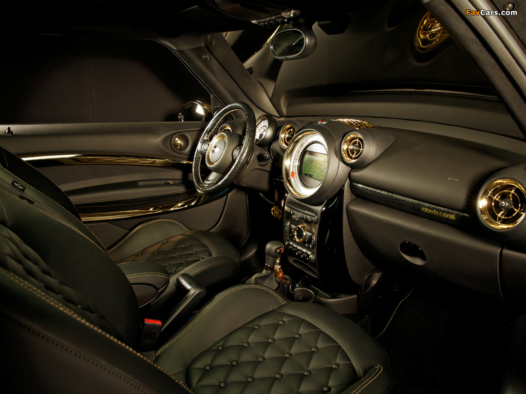 MINI Cooper S Paceman by Roberto Cavalli (R61) 2013 wallpapers (1024 x 768)