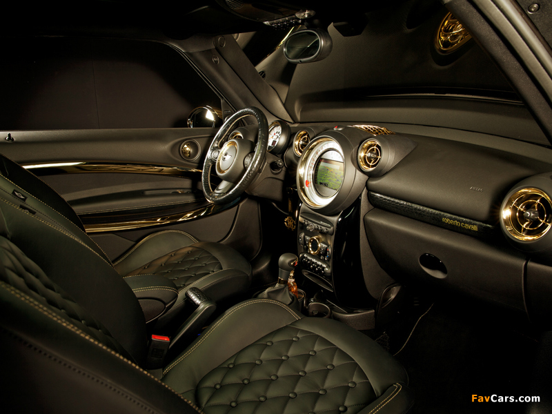 MINI Cooper S Paceman by Roberto Cavalli (R61) 2013 wallpapers (800 x 600)