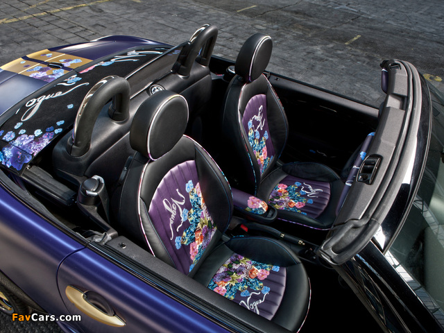 MINI Cooper S Roadster by Franca Sozzani (R59) 2012 photos (640 x 480)
