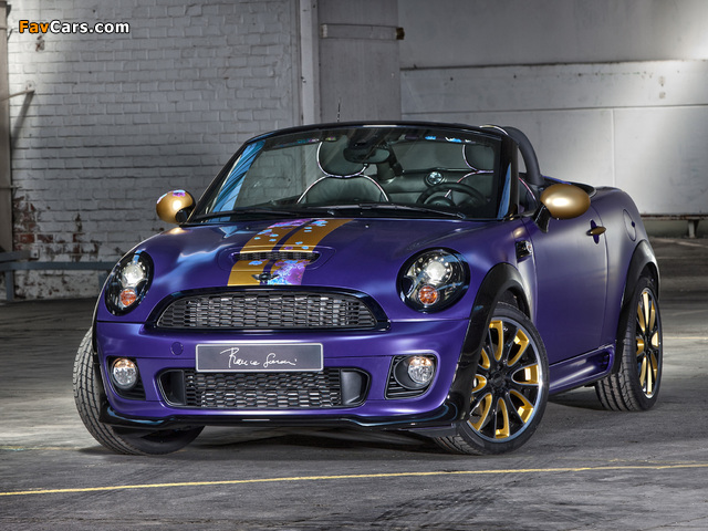 MINI Cooper S Roadster by Franca Sozzani (R59) 2012 pictures (640 x 480)