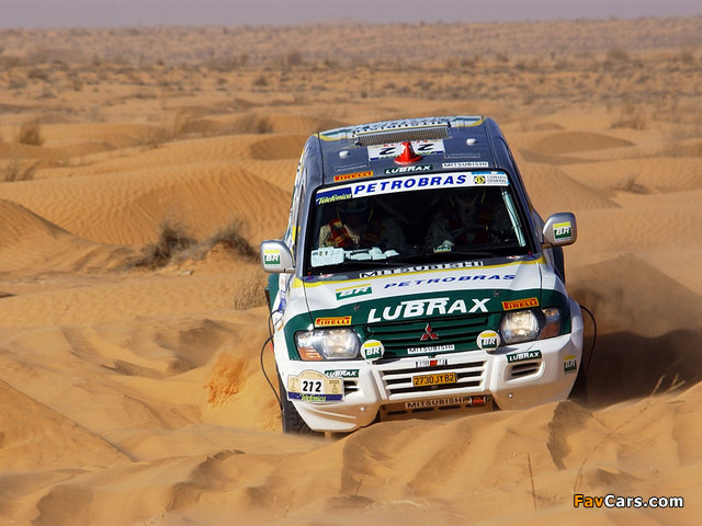 Images of Mitsubishi Pajero/Montero Rally (III) (640 x 480)