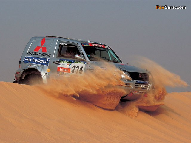 Pictures of Mitsubishi Pajero/Montero Rally (III) (640 x 480)