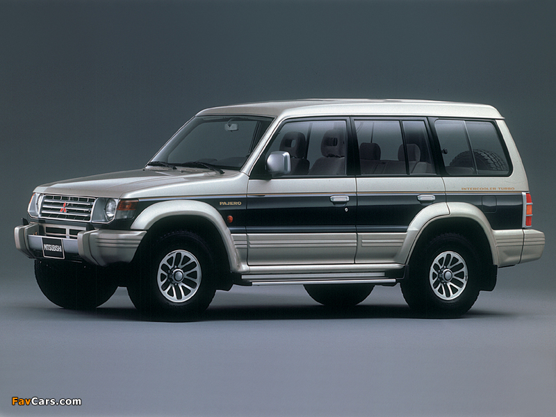 Images of Mitsubishi Pajero Wagon 1991–97 (800 x 600)