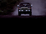 Mitsubishi Pajero Metal Top (I) 1982–91 photos