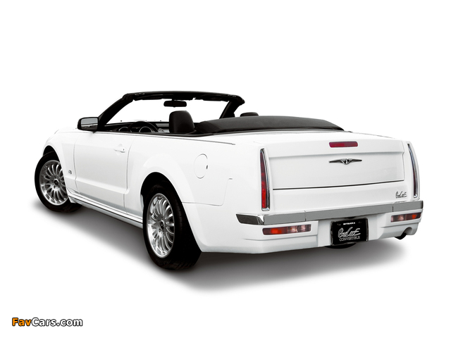 Pictures of Mitsuoka Galue Convertible 2007 (640 x 480)