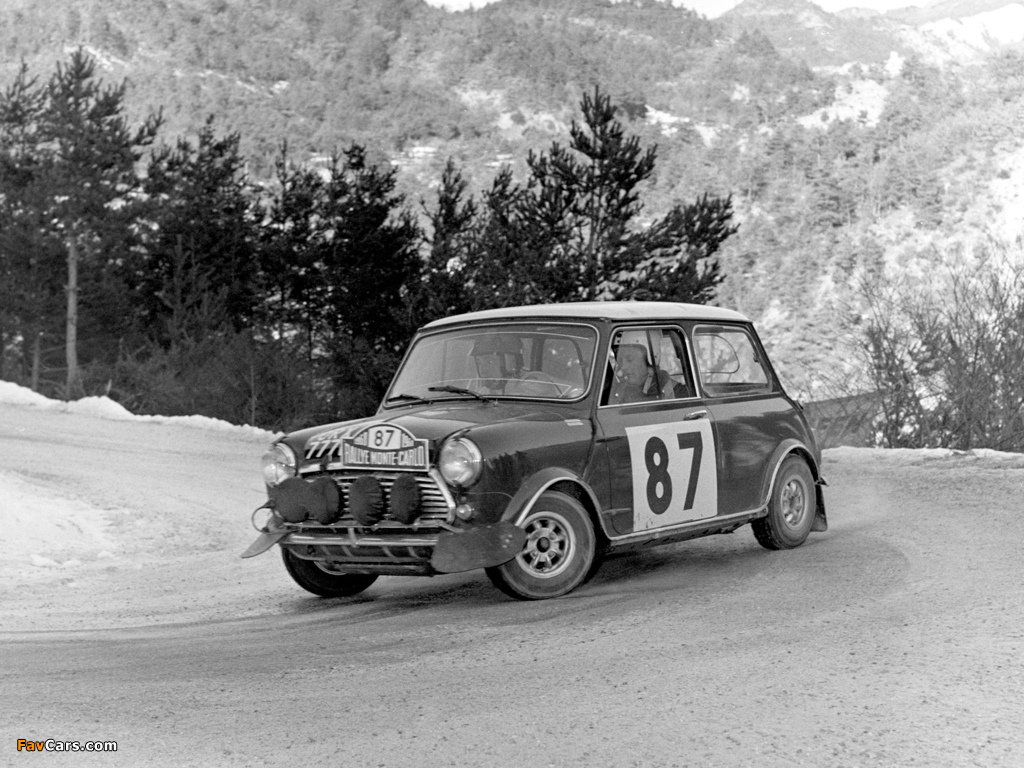 Pictures of Morris Mini Cooper S Rally (ADO15) 1964–68 (1024 x 768)