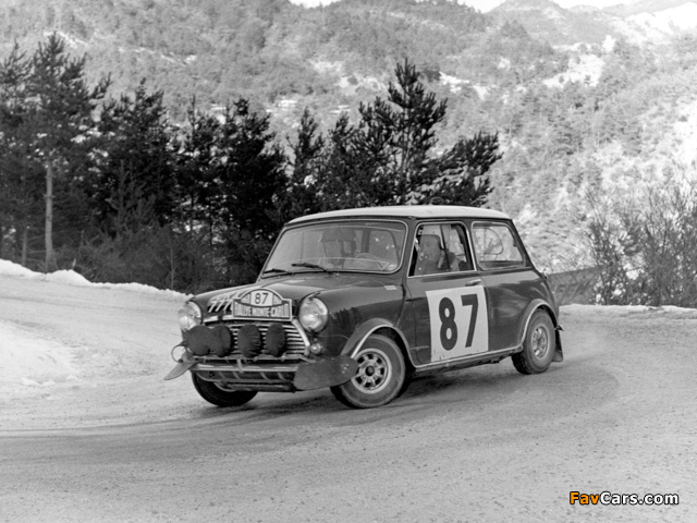 Pictures of Morris Mini Cooper S Rally (ADO15) 1964–68 (640 x 480)