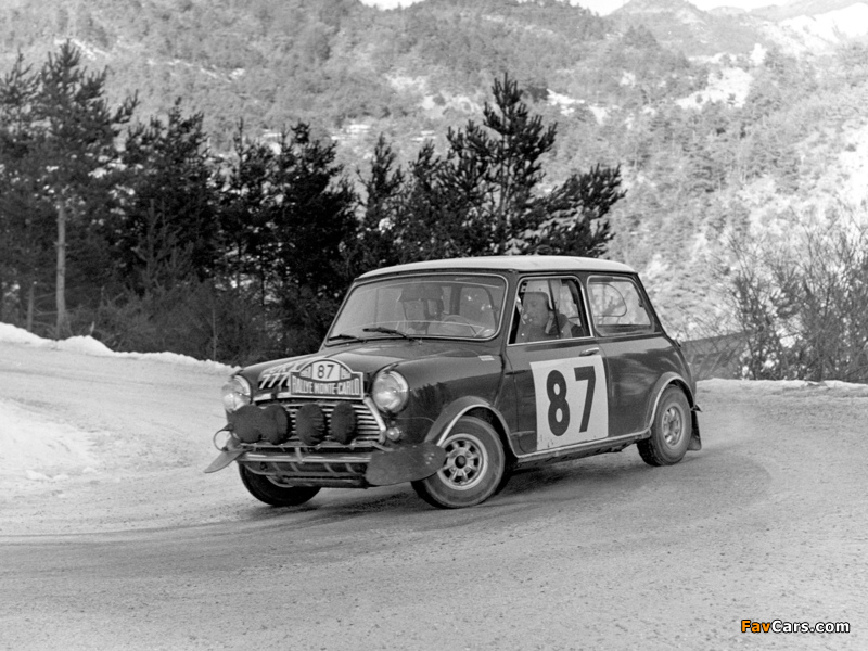 Pictures of Morris Mini Cooper S Rally (ADO15) 1964–68 (800 x 600)