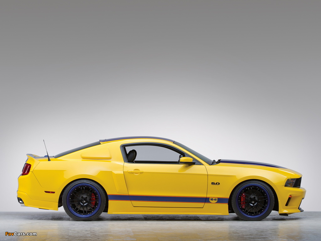 Mustang WD-40 Concept 2010 wallpapers (1024 x 768)