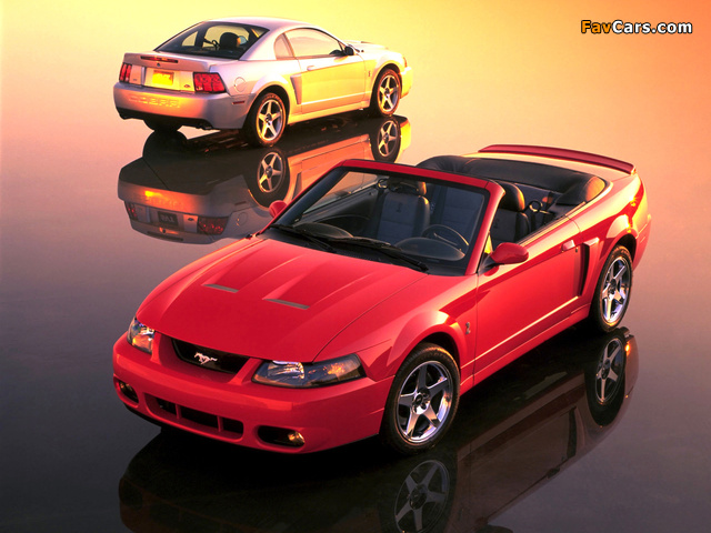 Images of Mustang (640 x 480)