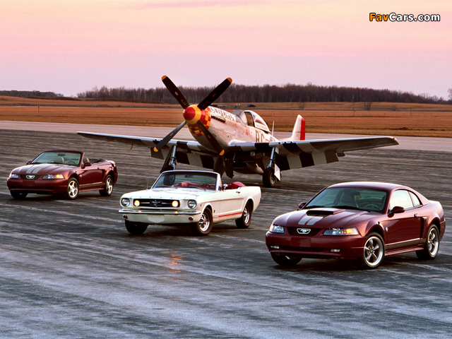 Mustang pictures (640 x 480)