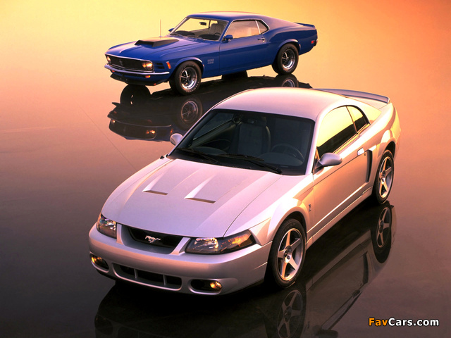 Mustang photos (640 x 480)