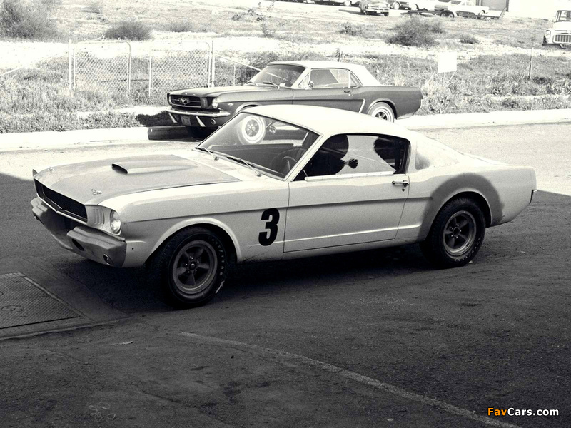 Images of Mustang MkI 1963–73 (800 x 600)