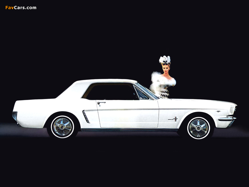 Images of Mustang Coupe 1964 (800 x 600)